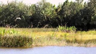 Green Cay Nature Center