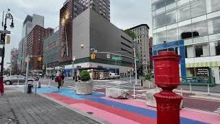 May 30 '25 - Live NYC Walk to Work: Southbound, Manhattan & Brooklyn Bridges, Chinatown