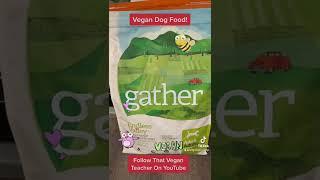 TikTok Today: Vegan Dog Food? Check The Label!