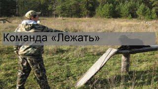 Команда «Лежать»
