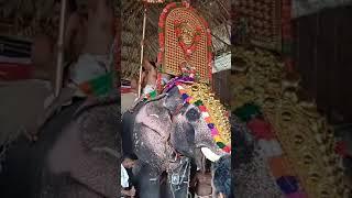 ചോറ്റാനിക്കര അമ്മ.... അമ്മേ നാരായണ ദേവി നാരായണ....