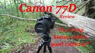 Canon 77D - 6 Month Review - Is a Crop Sensor Still a Good Camera?