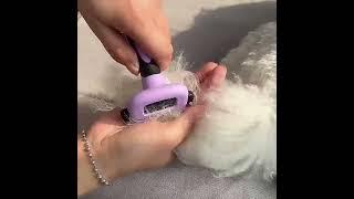 Detachable Cat Hair Grooming Brush Pet Deshedding Brush For Dogs