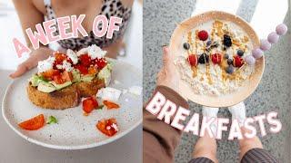 a week of *wholesome* plant-based breakfasts {vlog style}