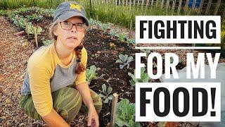 Organic Gardening is Hard! | Food Worth Fighting For