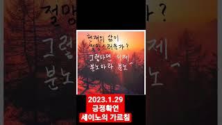 오늘의 긍정확언 #책방별곡 #부자 #책낭독 #성공 #책읽어주는여자 #세이노 #세이노의가르침 #자기계발