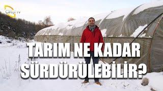 Sürdürülebilirliğin Türk Çiftçisine ve Tarıma Katkısı (Tarımda Sürdürülebilirlik) - Tarımla Varız