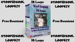 [FREE] PLUGG LOOP KIT / PLUG SAMPLE PACK - Stoopidxool, MexikoDro | 2023