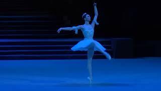 Ekaterina Krysanova in ballet Raymonda