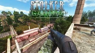 The LUCKIEST Stalker in GAMMA - ONE LIFE IRONMAN