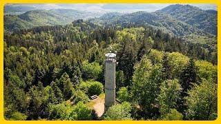 Brandeckturm | Schwarzwald #schwarzwald #brandeckturm #wandern #aussicht #outdoorscape