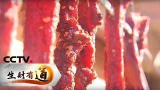 《生财有道》云南芒市：风味自然 美食赚钱 20200401 | CCTV财经