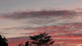 share Very nice Red sunset south of Cambridge UK 29dec19 411p