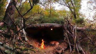 Bushcraft Shelter UNDER FALLEN TREE - Solo Survival Camping, Outdoor Cooking, Documentary, DIY, ASMR