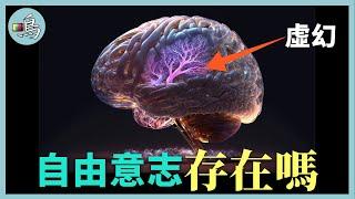 人的命運是上天注定嗎？ 耗時200年，數十位頂尖科學家終於發現答案 l 老鳴TV