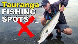 The Best FISHING SPOTS around Tauranga, New Zealand