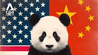 US-China Rivalry: Why America Is Losing Pandas - But It Won’t Be Forever