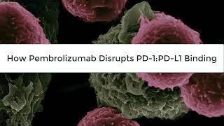 Exploring the PD-1/PD-L1 pathway using Data, Tools, and Resources from RCSB.org