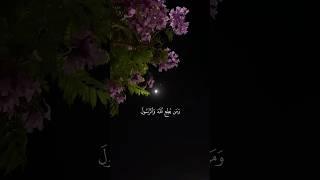 تلاوة من القرآن الكريم بصوت الشيخ علي جابر - رحمه الله | سورة النساء من آية ٦٩ إلى آية ٧٠ |