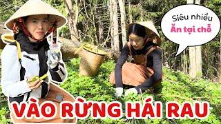 Cuối Tuần Vào Rừng Hái Rau Tầm Ma, Cần Dại, Cây Lưỡi Mèo Nhật. Tha Hồ Ăn - Thúy Jyri Family Phần Lan
