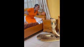 The  Evil house maid || trending ogaflex comedy educating video