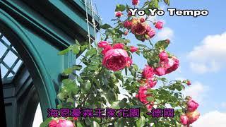 海恩豪森王家花園   德國｜優遊步調 Yo Yo Tempo