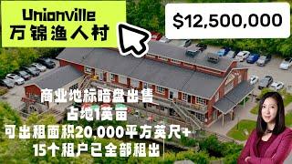 万锦渔人村商业地标综合体暗盘出售 叫价1250万！