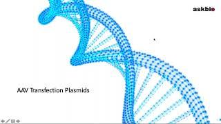 Webinar: Standardization and Large-scale Manufacturing of Plasmids for Viral Vector Production