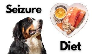 7 Foods To Feed Your Dog To Prevent Seizures - No Meds!