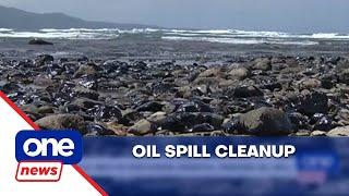 PCG seeks US help in oil spill cleanup