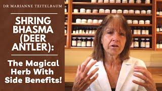 Shring Bhasma (Deer Antler): The Magical Herb With Side Benefits!