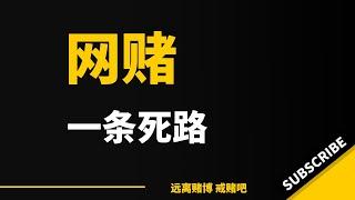 我也丢了工作，真对不起她，把她的脸面都丢尽了，幸好家还在吧。这一次血一样的教训我也该醒了，再大的压力都不会去走赌这条死路了。奉劝大家，网赌只是死路一条，就是早晚的事情，能止步赶紧止步吧。