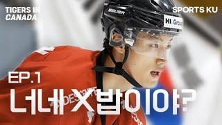 “캐나다 사람들은 한국에 아이스하키가 있는지도 몰라” | TIGERS IN CANADA ep.1