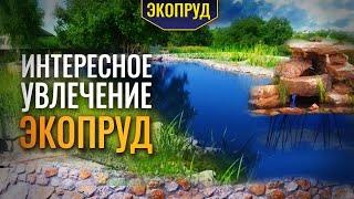 Интересное увлечение Экопруд