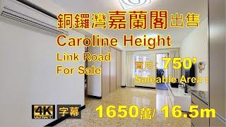 【銅鑼灣】嘉蘭閣 出售1650萬 750呎 【Causeway Bay】,Caroline Height ,For Sale 16.5m , 750sqft