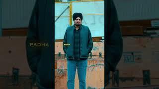 295 X Sidhu Moose wala || 295 Slowed Reverb || Sidhu Moose wala status