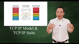 TCP/IP Model and  TCP/IP suite