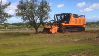 Prime Tech PT-600 - Almond Tree Removal IMG 1306