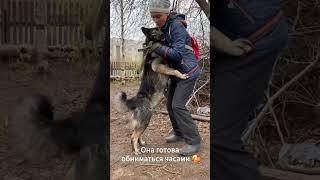 Есть в приюте собаки, которым там живется намного хуже, чем другим