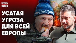 ЛУКАШЕНКО - УГРОЗА ДЛЯ МИРА И ВСЕЙ ЕВРОПЫ. Громкое заявление Зеленского. Трамп не верит в Украину