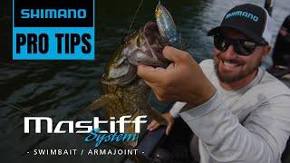 Swimbait Fishing Tackle System | Shimano Pro Tips