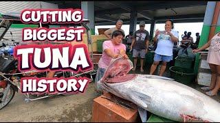 Cutting Biggest Tuna History here in Dinahican infanta Quezon