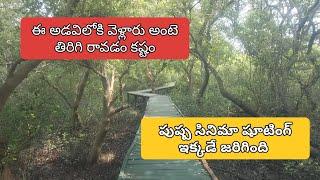 Tourist place CORINGA FOREST  #tourism #trending #video #youtube#vlog #mobiletheatre