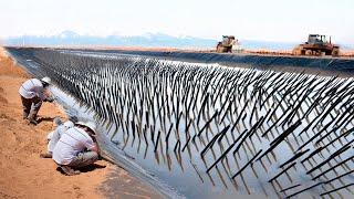 They Dumped Tons of Seeds into the Sahara Desert Sand With Zero Water and It Changed Everything