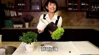 植物換盆怎麼做，3招輕鬆做 | 香草教室 | 森林有塊田