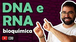 DNA e RNA (Ácidos Nucleicos) - LEIA A DESCRIÇÃO