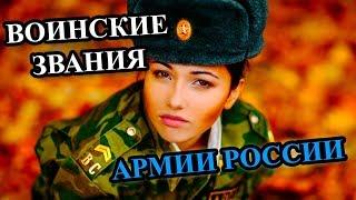 ВСЁ О ЗВАНИЯХ АРМИИ РФ или как получить звание?