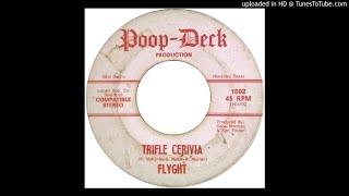 Flyght - Trifle Cerivia (GARAGE ACID PSYCH FROM 1970)