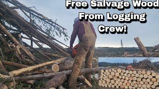 Salvage Wood From Logging Crews Turned Into Firewood!