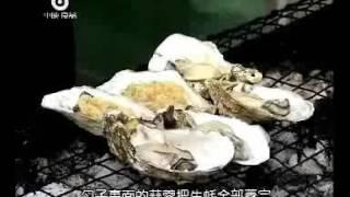 烤海鲜烧烤配方视频（碳烤生蚝操作参考视频）